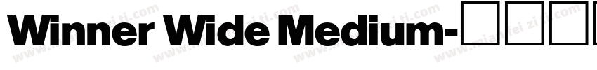 Winner Wide Medium字体转换
